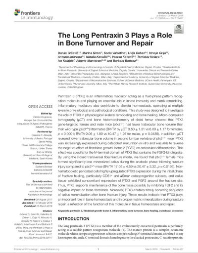 The Long Pentraxin 3 Plays a Role in Bone Turnover and Repair